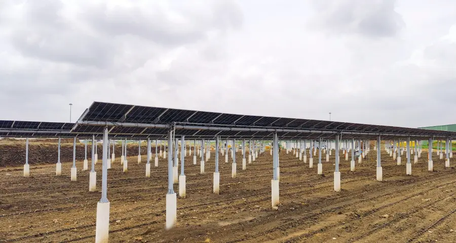 Agri PV
