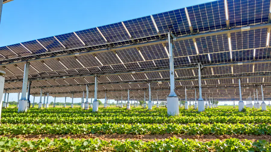 Agri PV